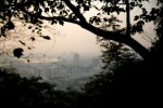 A hazy view of Nanjing, China, is visible through trees on the Purple-Gold Mountain.