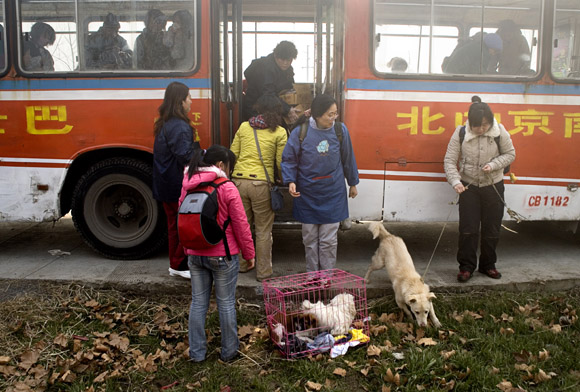 Volunteers leave a rented bus after arriving at Ha Wenjin's no-kill dog and cat rescue farm outside Nanjing, Jiangsu, China.