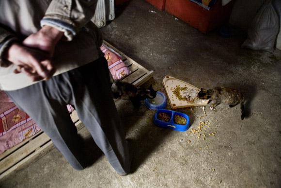 Volunteers feed cats in a small farmhouse at Ha Wenjin's no-kill dog and cat rescue farm outside Nanjing, Jiangsu, China.