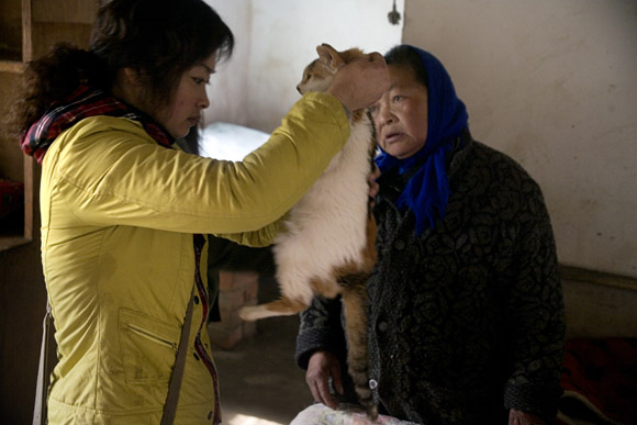 A volunteer inspects cars for signs of illness and cleans their ears at Ha Wenjin's no-kill dog and cat rescue farm outside Nanjing, Jiangsu, China.