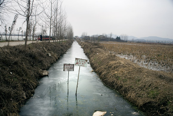 An icy irrigation canal surrounds a field in Pukou, Jiangsu Province, China.  The signs carry a warning that dumping garbage in the canal will result in a fine of between 50 and 100 Chinese Renminbi (approximately USD$8 to $15)
