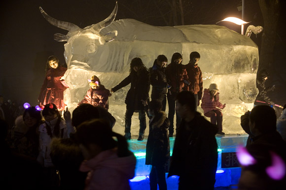 People congregate around a bull-shaped ice sculpture in Stalin Park in Harbin, Heilongjiang Province, China.  2009 is the year of the ox according to the Chinese zodiac.